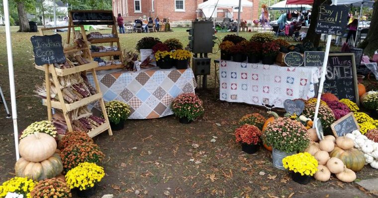 Southern Illinois Grown Garden Mums!